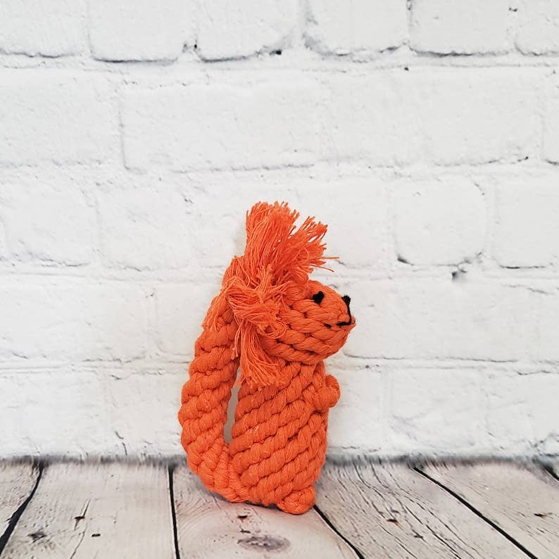 Squirrel rope 2024 dog toy