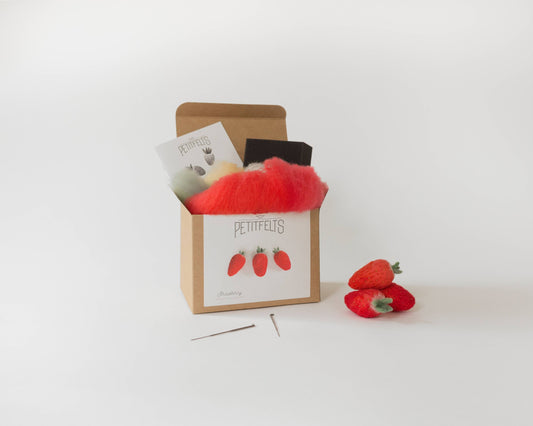 Needle Felting Kit - Strawberry